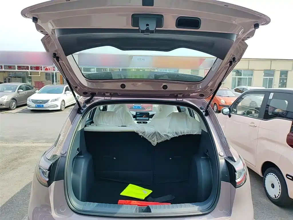 Geely Galaxy Starry Wish 2026 Edition 310km Youth Version фото 19