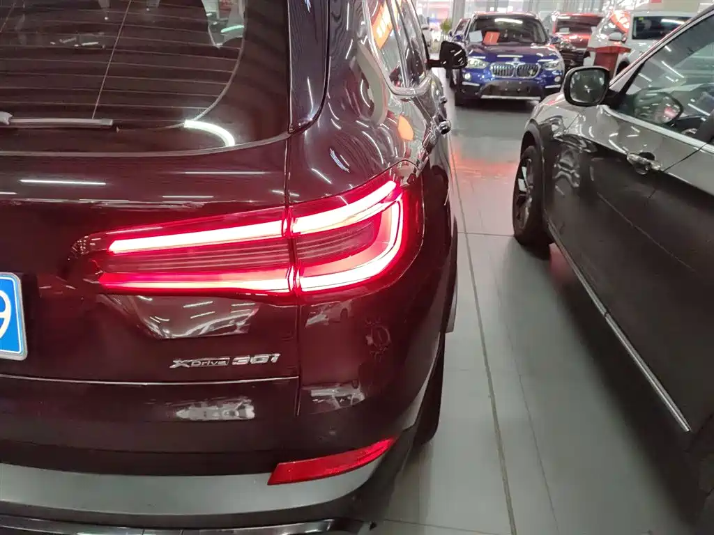 BMW X5 (Import) 2020 xDrive30i X Design Package фото 8