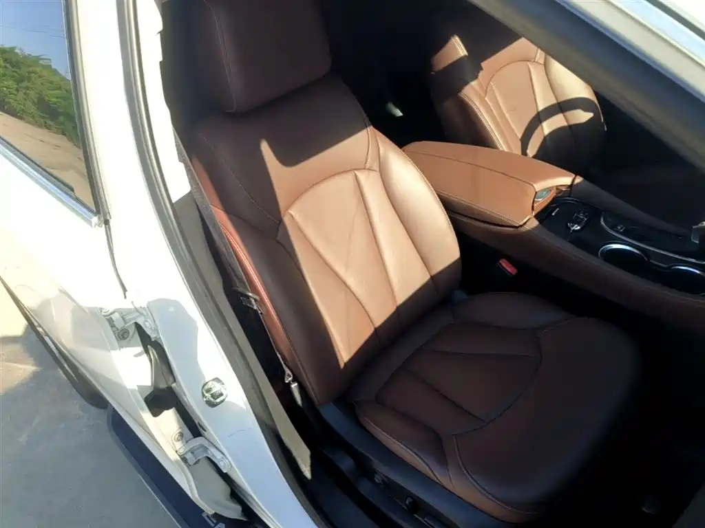 Buick Envision Plus 2018 20T 2WD Luxury фото 19