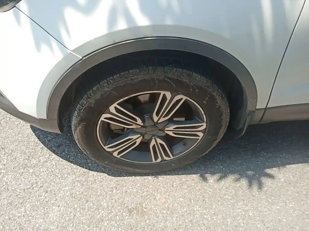 Leopaard CS10 2019 2017 2.0T Manual Excellence