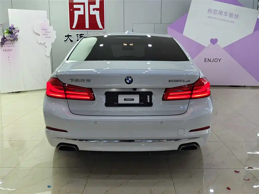 BMW 5 Series New Energy 2018 530Le Luxury Package фото 5