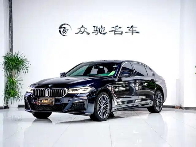 BMW 5 SERIES