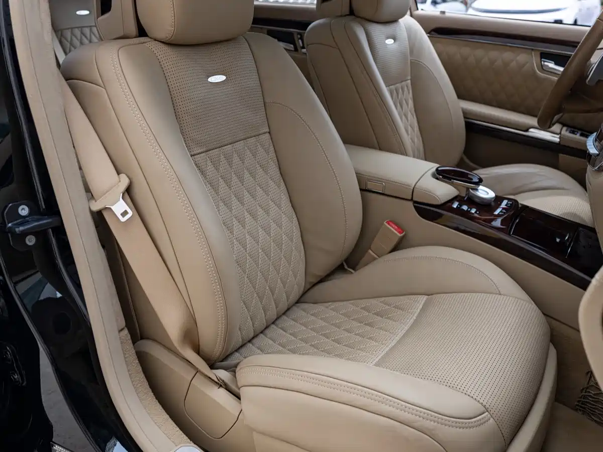 Mercedes-Benz S-Class AMG 2010 AMG S 65 фото 19
