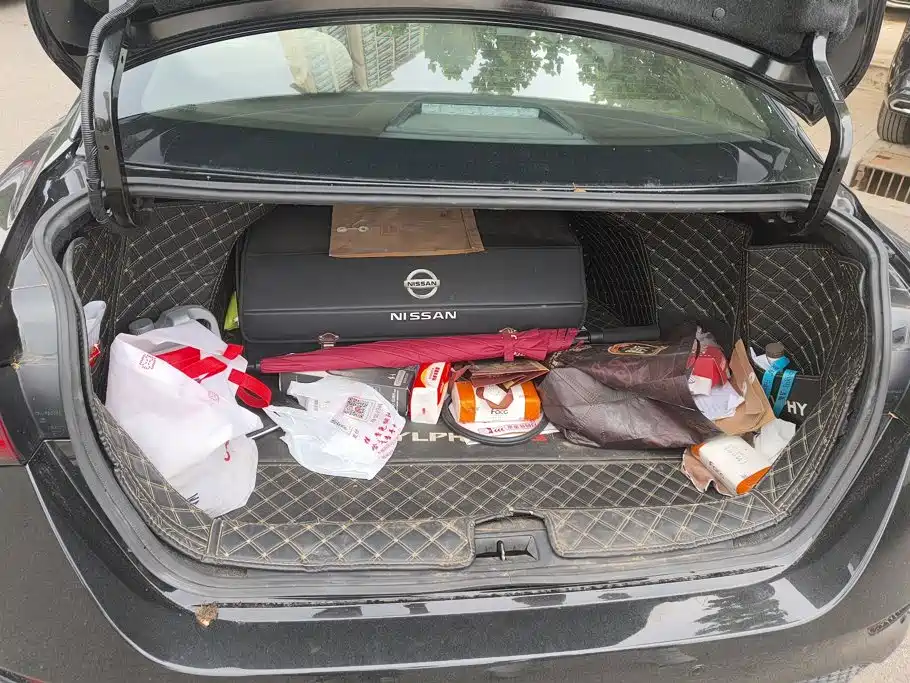 Фото 4 - Nissan Sylphy