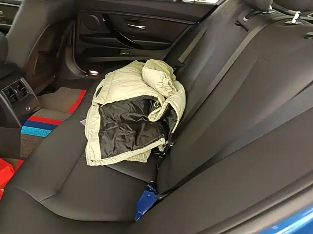 BMW 3 Series 2017 320Li M Sport фото 17