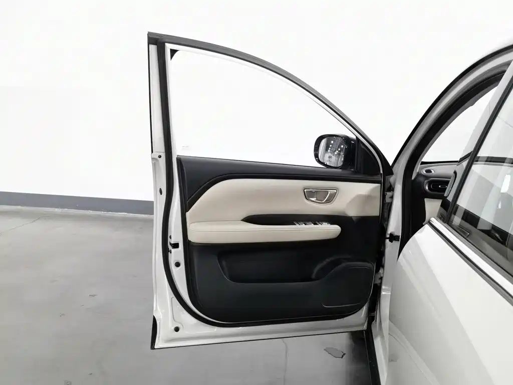 Wuling Motors Wuling Binguo PLUS 2025 2024 510km Range 5-seater