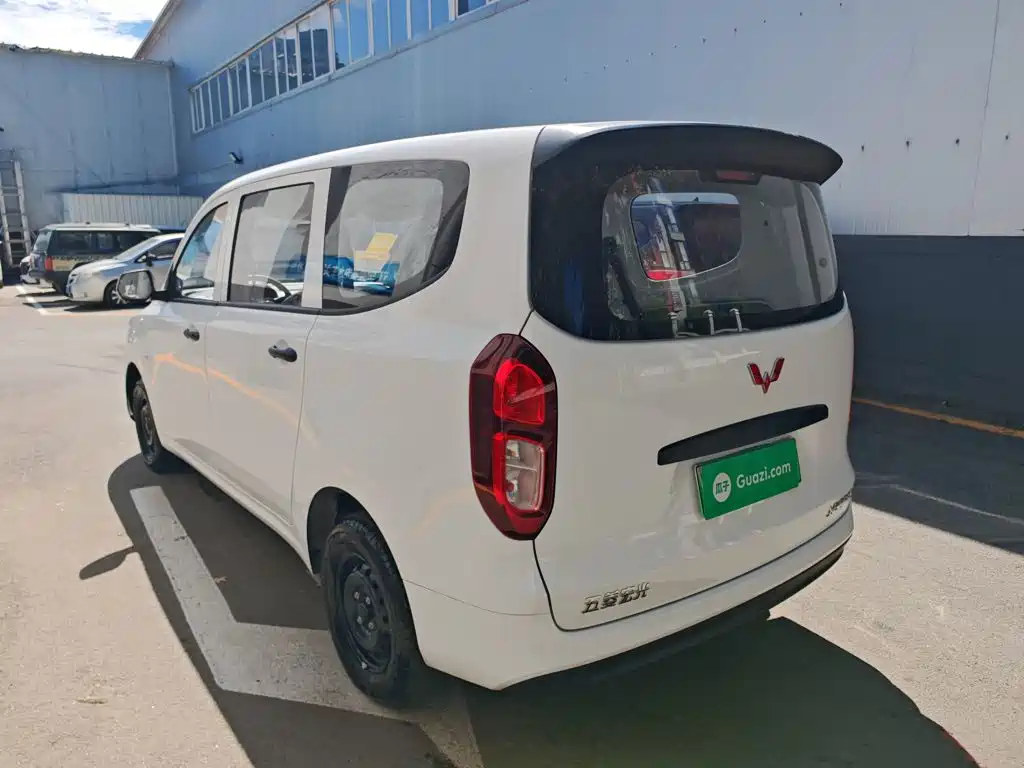 Фото 24 - Wuling Motors Wuling Hongguang New Energy