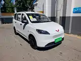 Фото 25 - Wuling Motors Wuling Hongguang New Energy