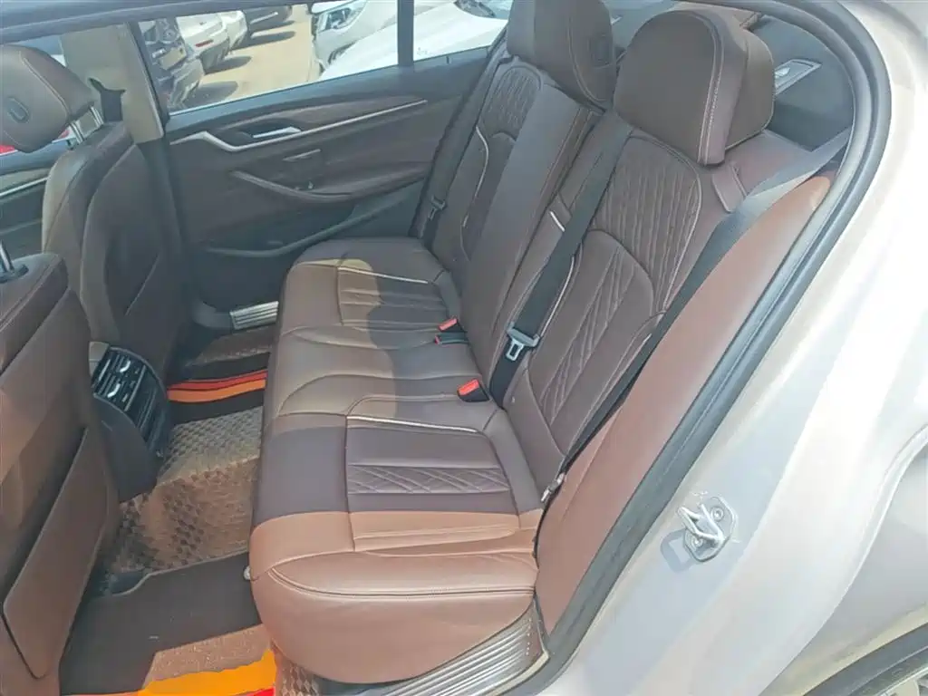 BMW 5 Series 2018 Facelift 530Li Leading Luxury Package фото 17