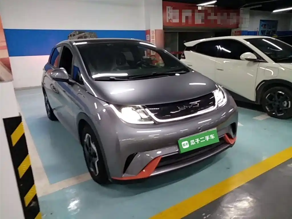 BYD Dolphin 2021 Model 405km Fashion Edition фото 4