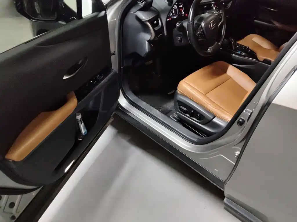Lexus UX Electric 2022 2020 300e Pure Yue Edition