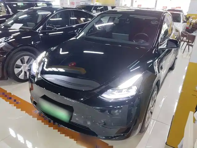 Tesla Model Y Задний привод