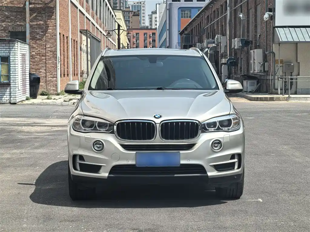 BMW X5 (Import) 2014 xDrive35i Elegance фото 7