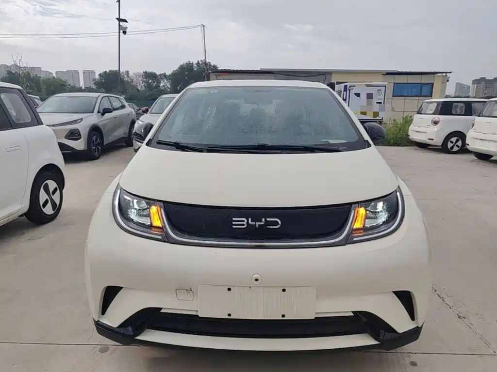 BYD Dolphin 2026 2025 420km Freedom Edition