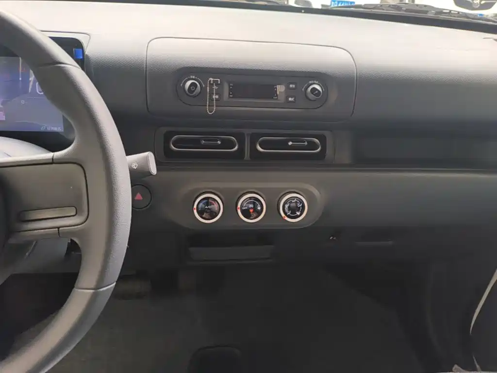 Wuling Motors Wuling Zhiguang NEV 2026 2025 Model 305km Base Version