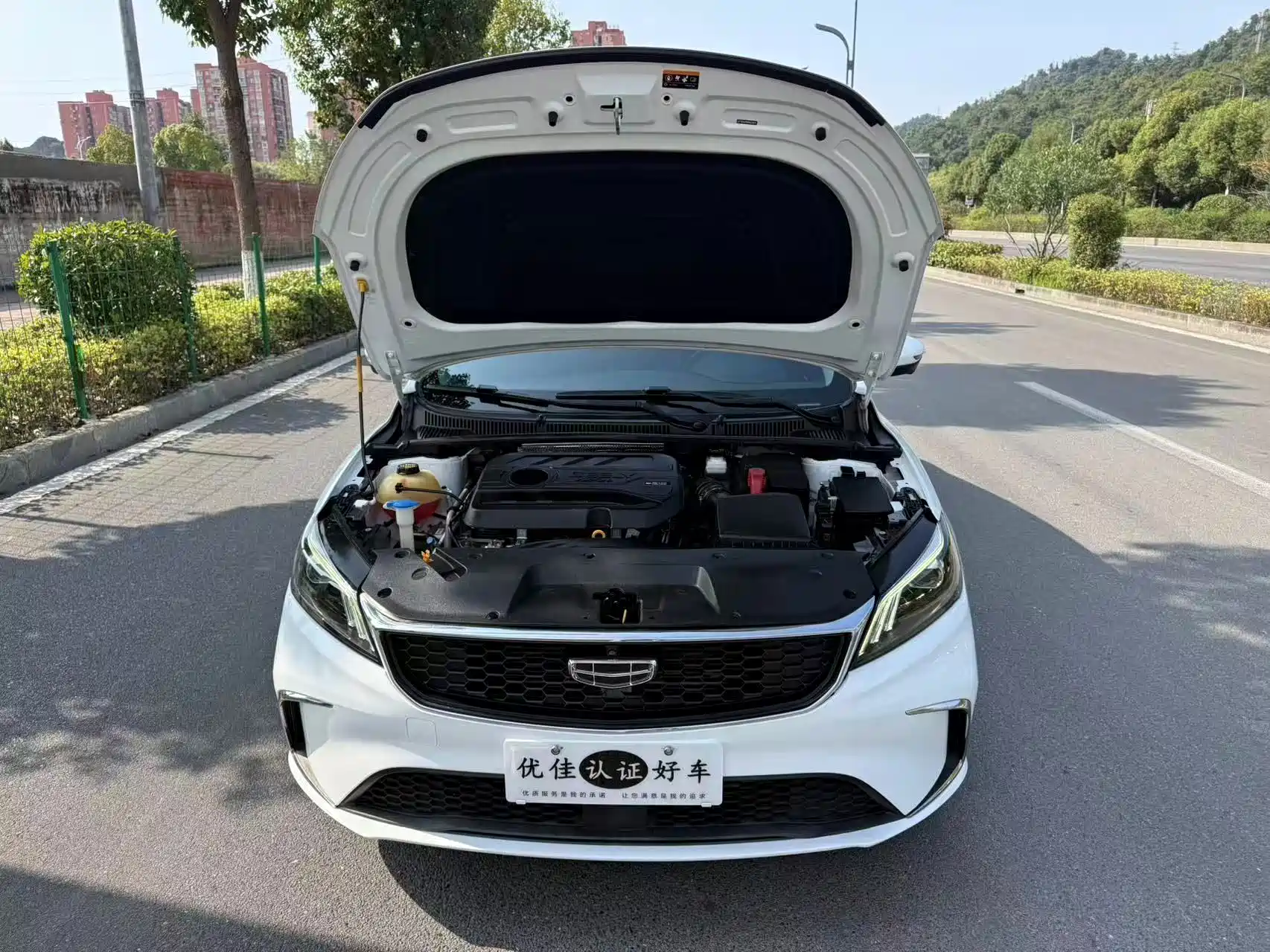 Фото 8 - Geely Binrui