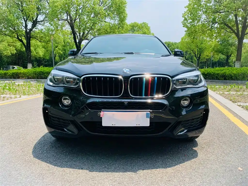 BMW X6 2018 xDrive35i M Sport Luxury Model фото 3