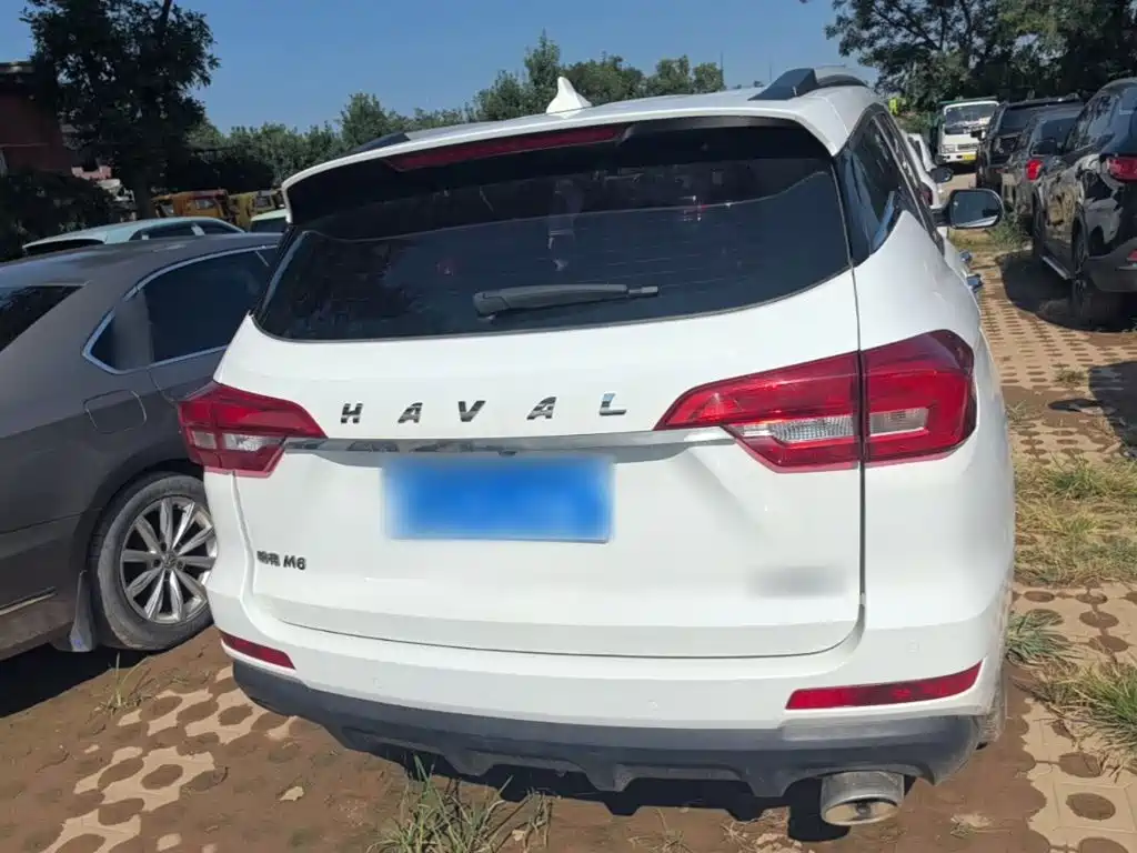 Фото 6 - Haval M6