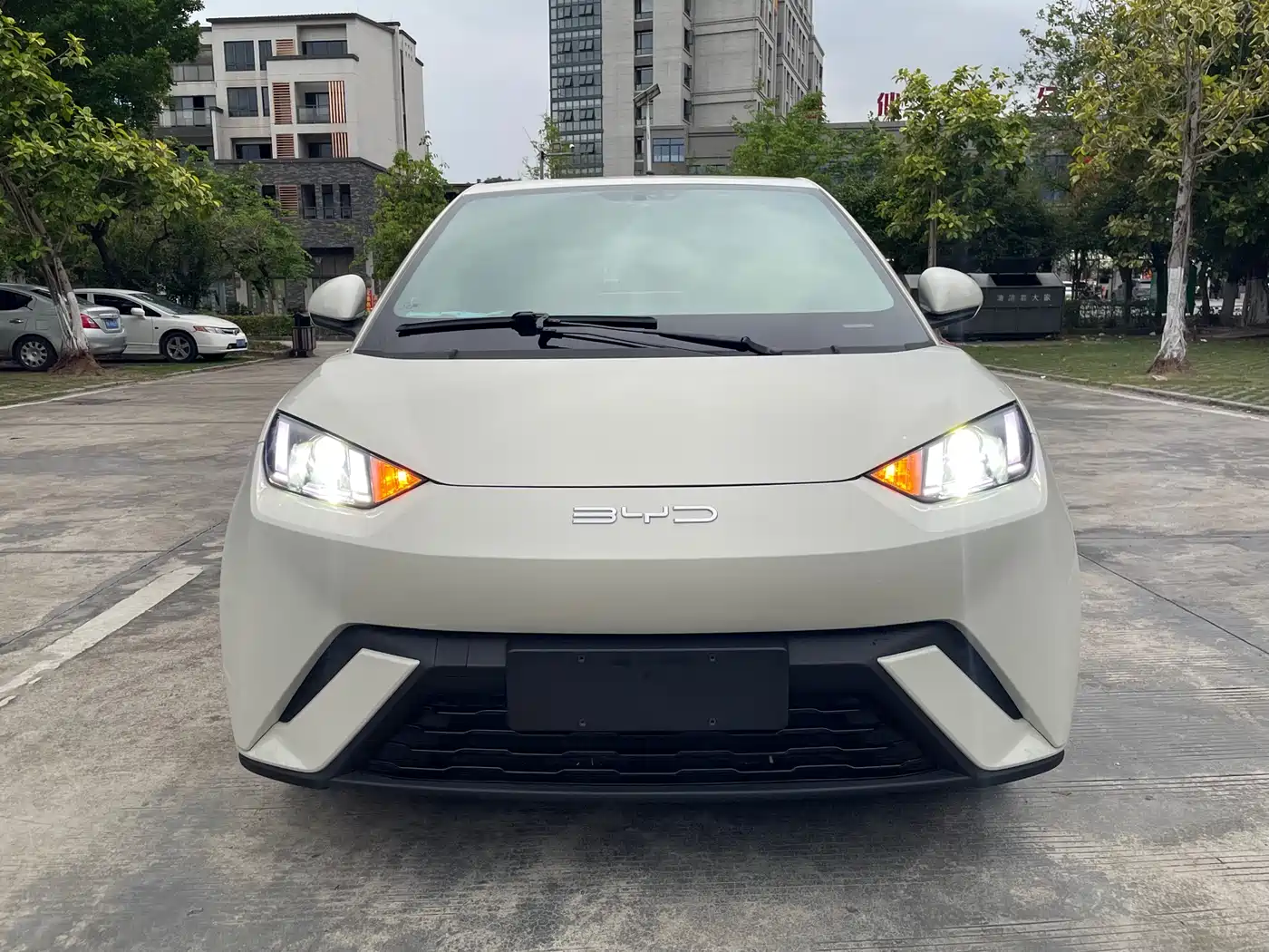 BYD Seagull 2024 Glory Edition 305km Freedom Edition фото 2