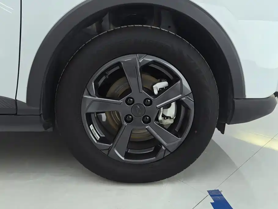 Geely Geometry E Firefly 2024 2024 Model 301km Starlight