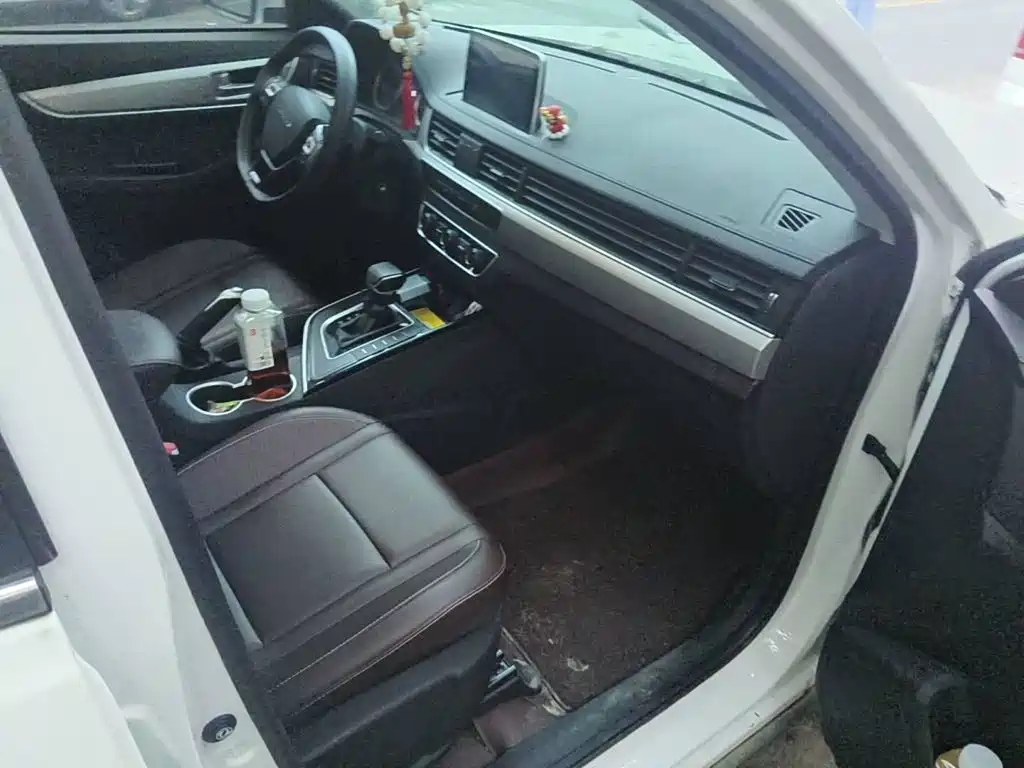 Dongfeng Fengxing Fengxing T5 2024 2024 Golden Age 1.6L CVT Dream Chaser 5-seater