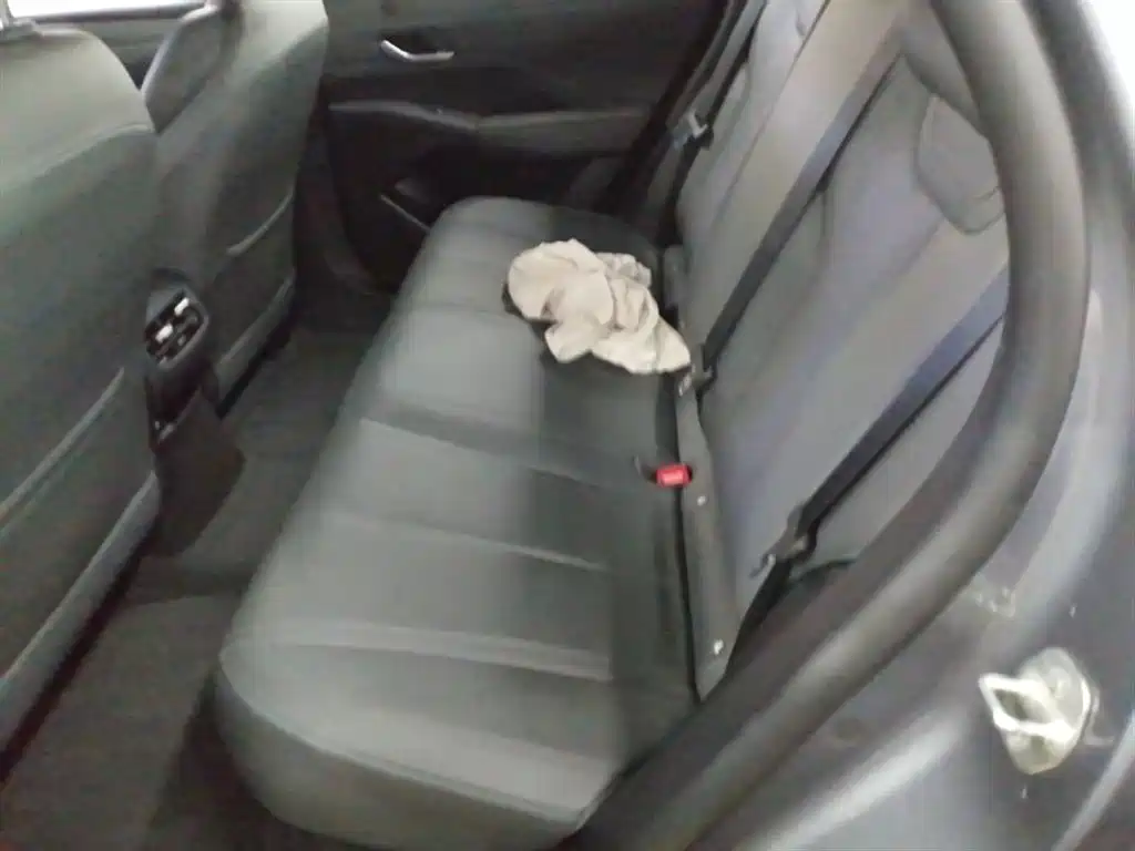 BYD Qin PLUS 2025 DM-i Smart Drive 55KM Leader фото 17