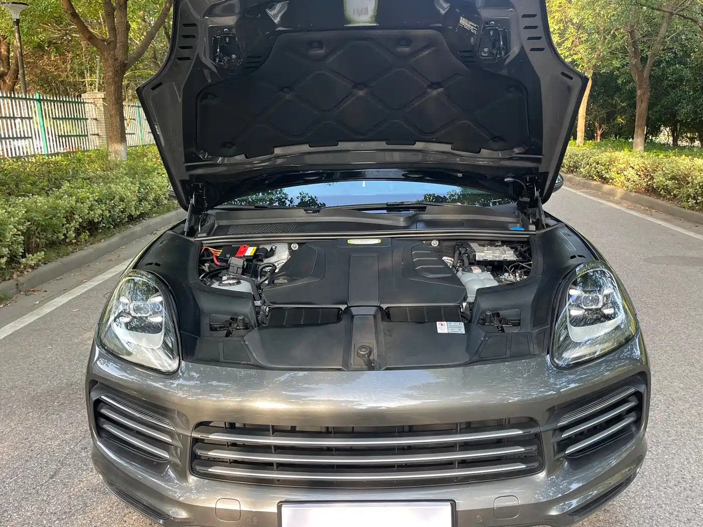 Porsche Cayenne New Energy 2020 2019 Cayenne E-Hybrid 2.0T