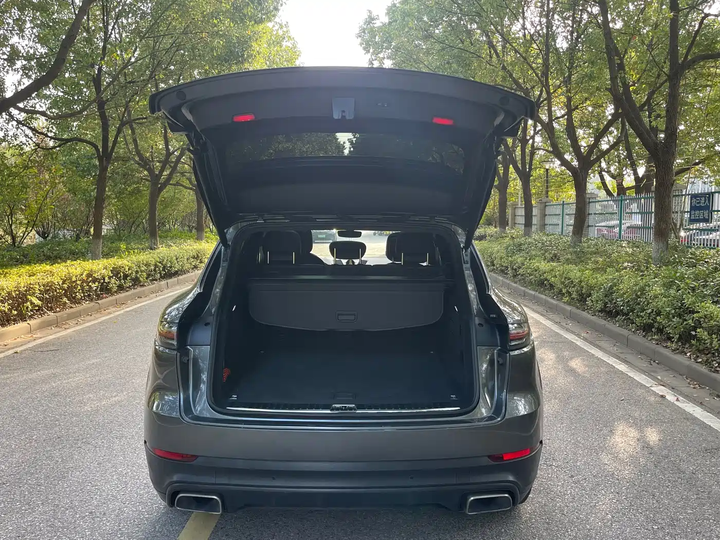 Porsche Cayenne New Energy 2020 2019 Cayenne E-Hybrid 2.0T