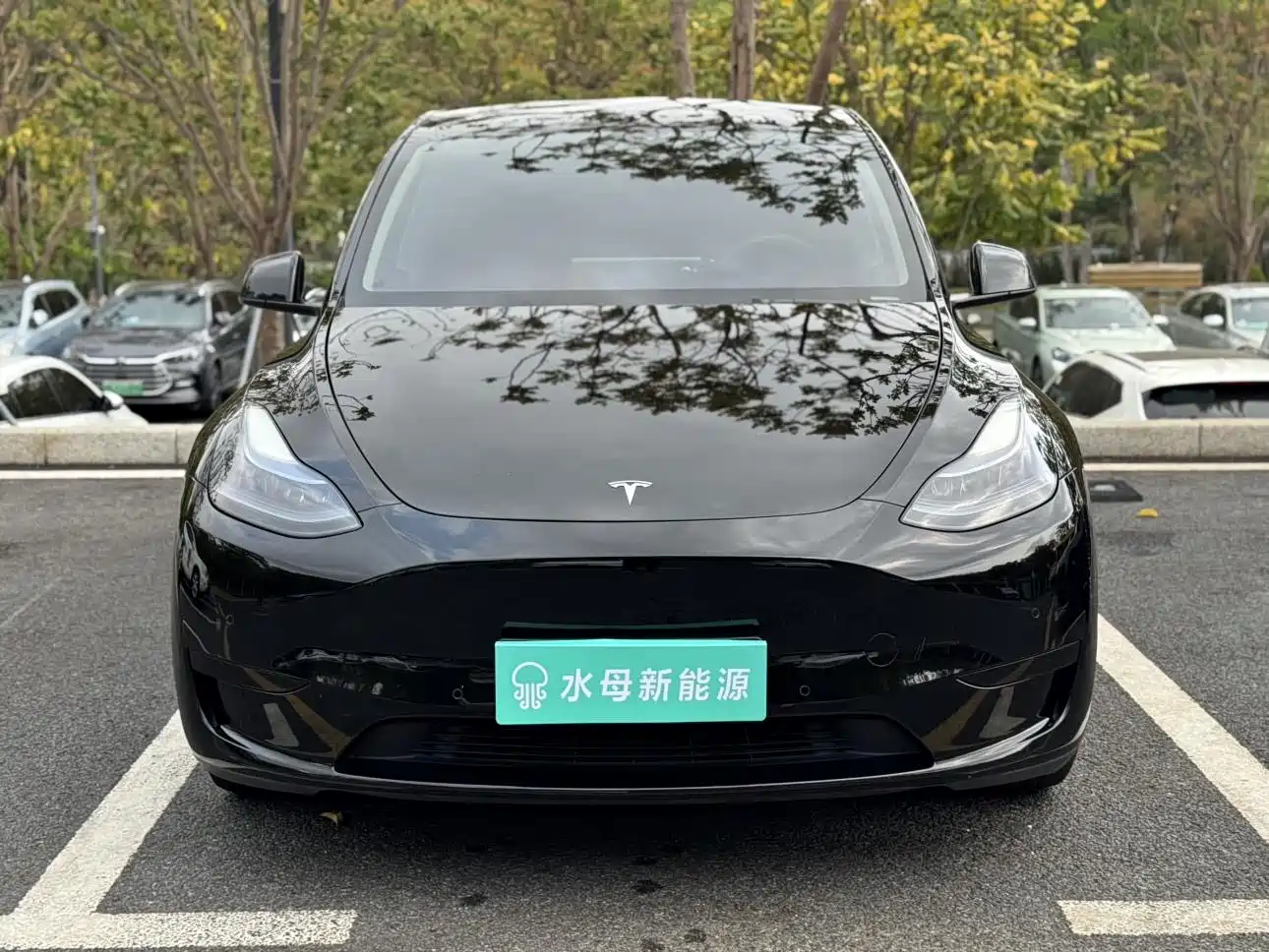 TESLA MODEL Y