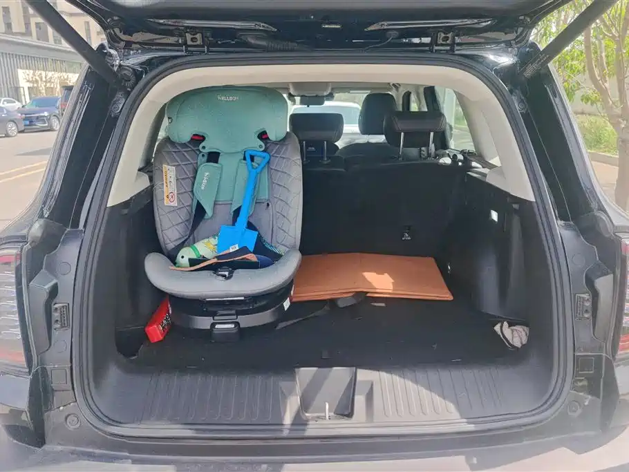 Haval Big Dog 2024 1.5T DCT Border Collie Edition фото 4