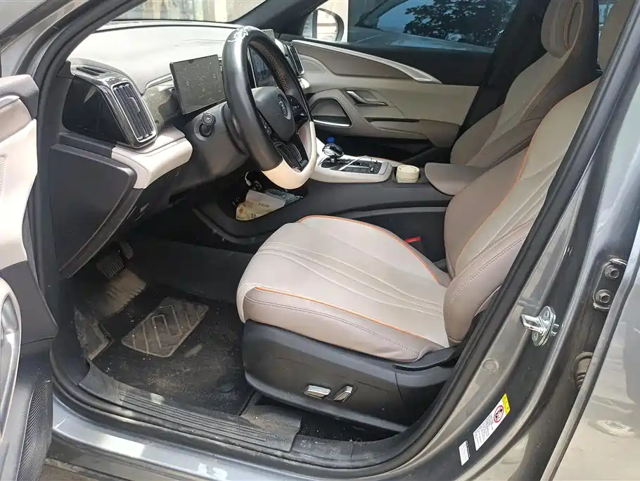 BYD Song Pro New Energy 2024 Glory Edition DM-i 71KM Pilot фото 9