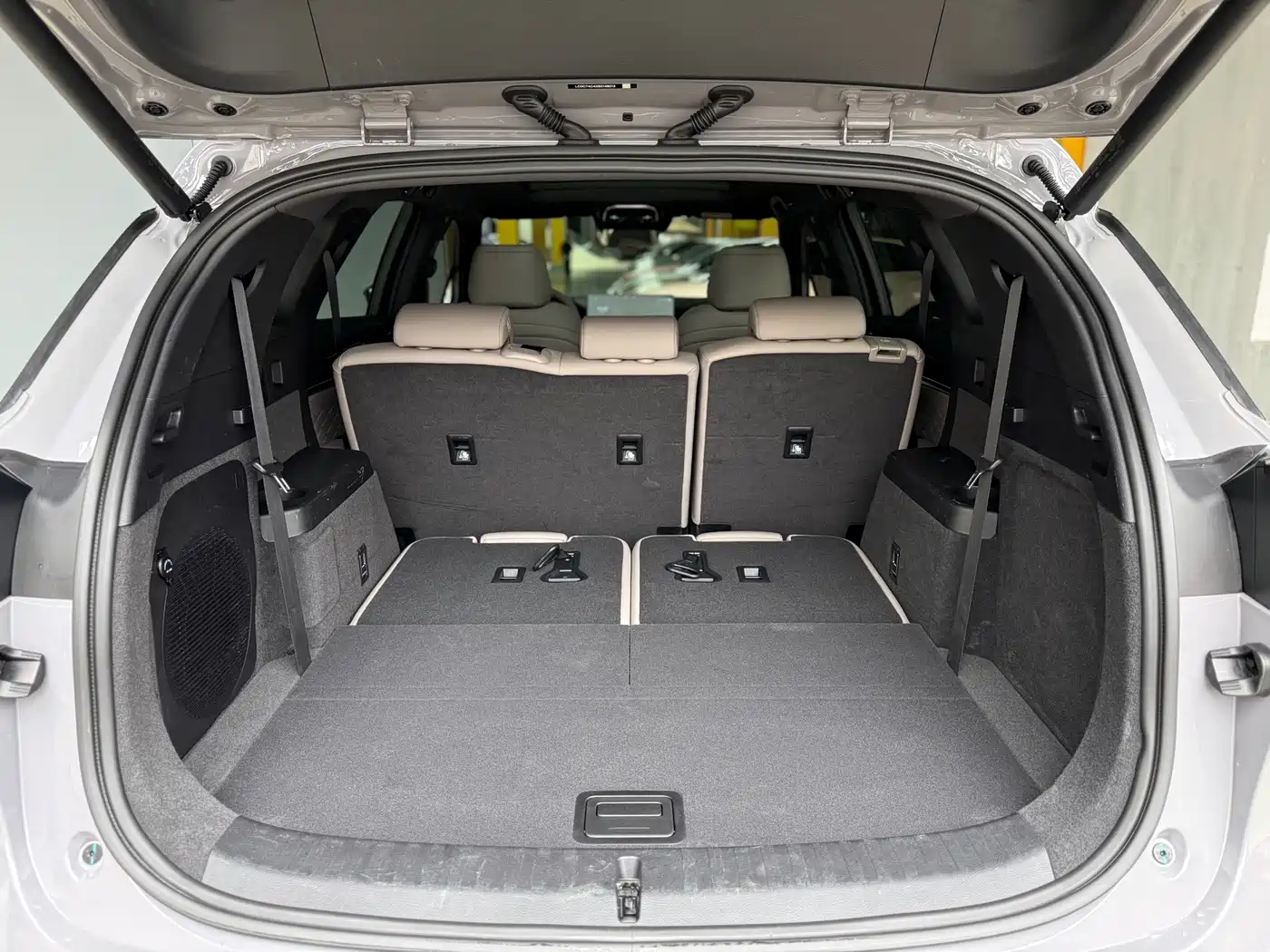 BYD Tang New Energy 2025 DM-i 115KM Premium фото 25