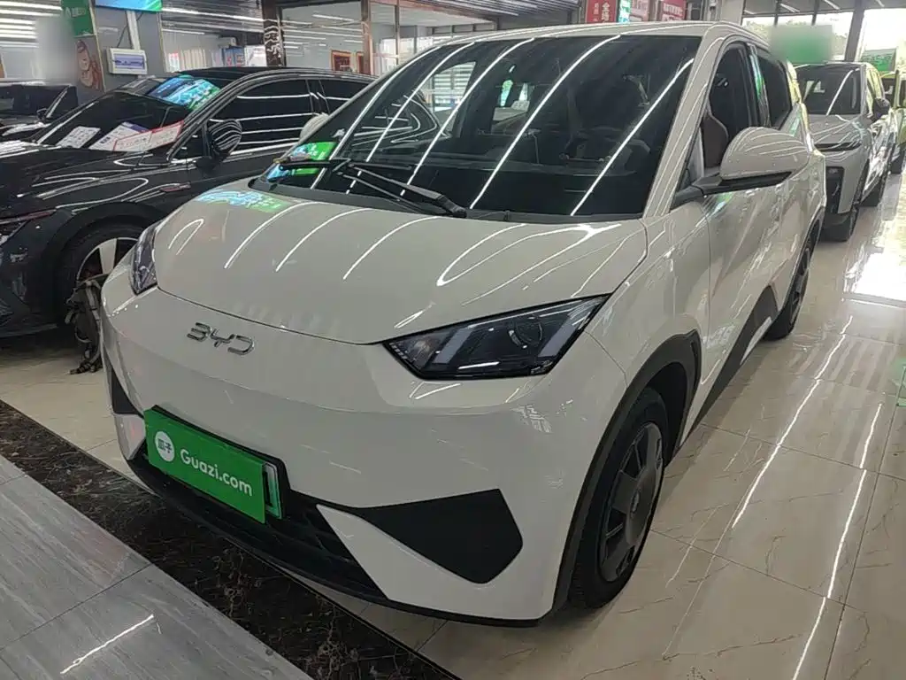 BYD Seagull 2025