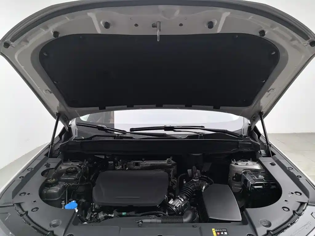 Photo 6 - Haval Xiaolong MAX