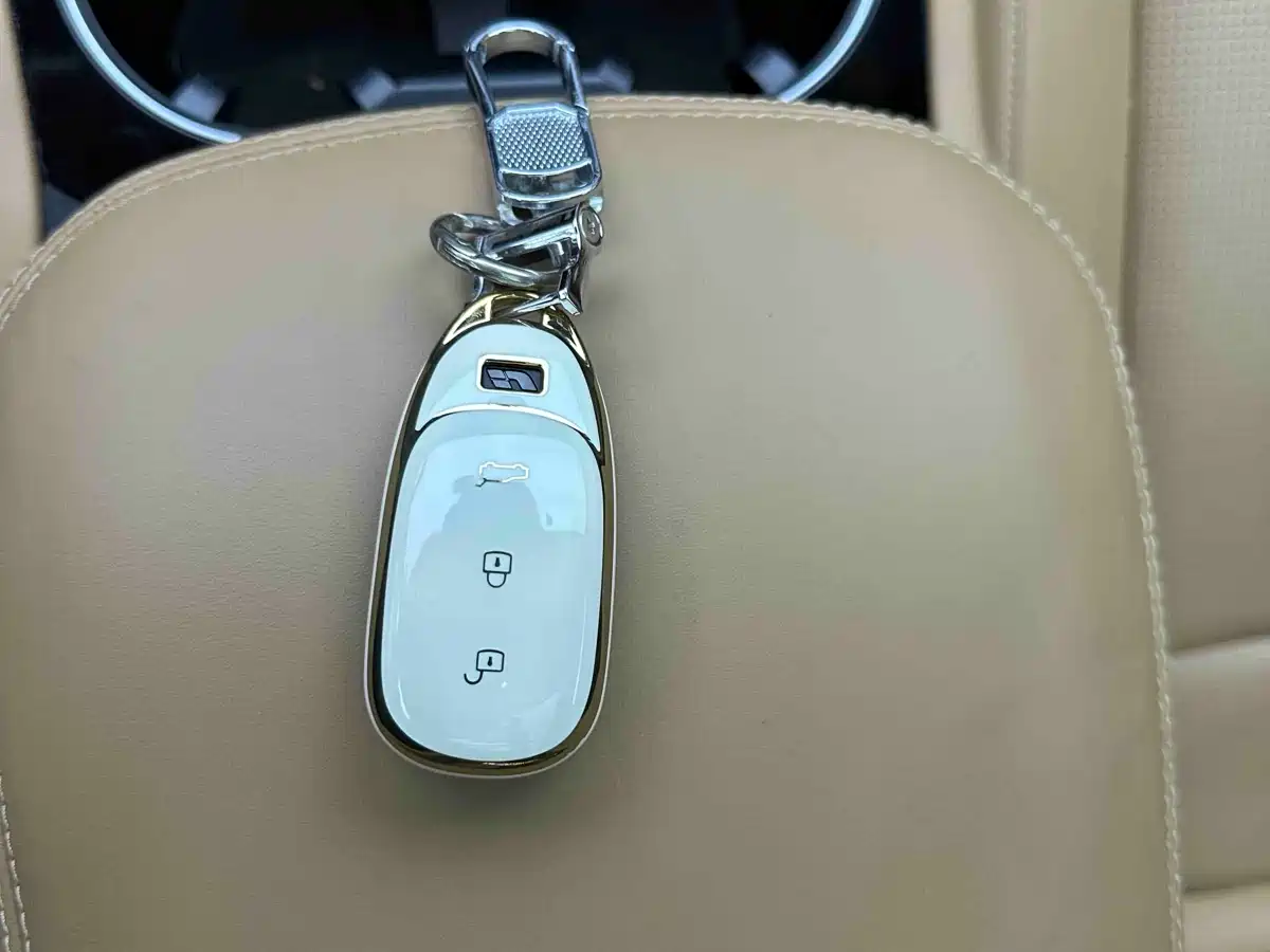 Photo 13 - Li Auto Li ONE