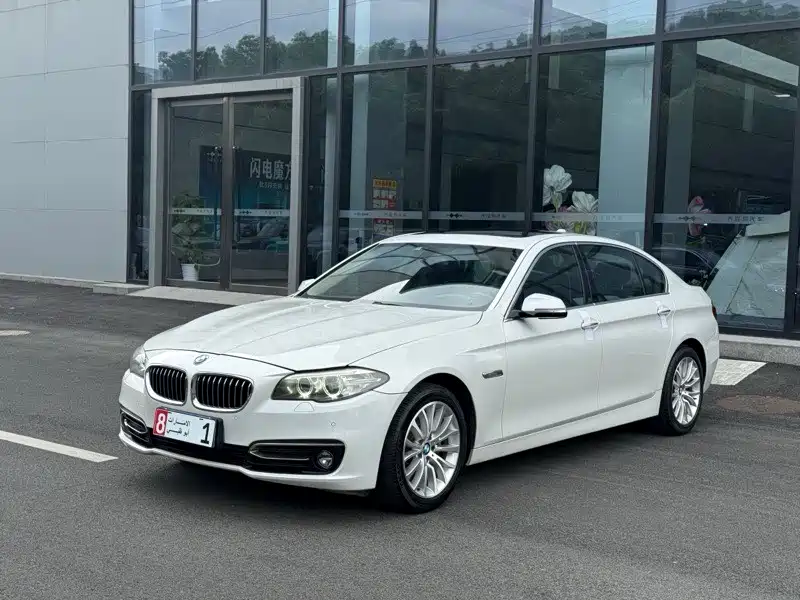 BMW 5 Series 2014 525Li Luxury Design Package