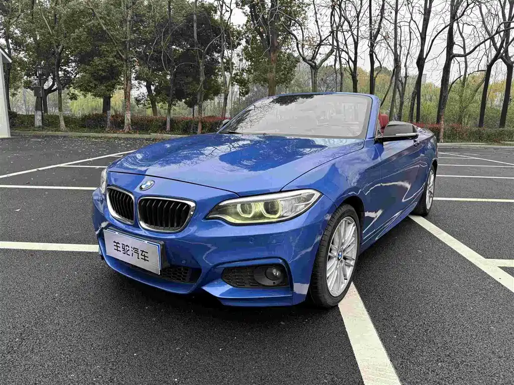 BMW 2 Series (Import) 2015 220i Convertible Coupe M Sport фото 5