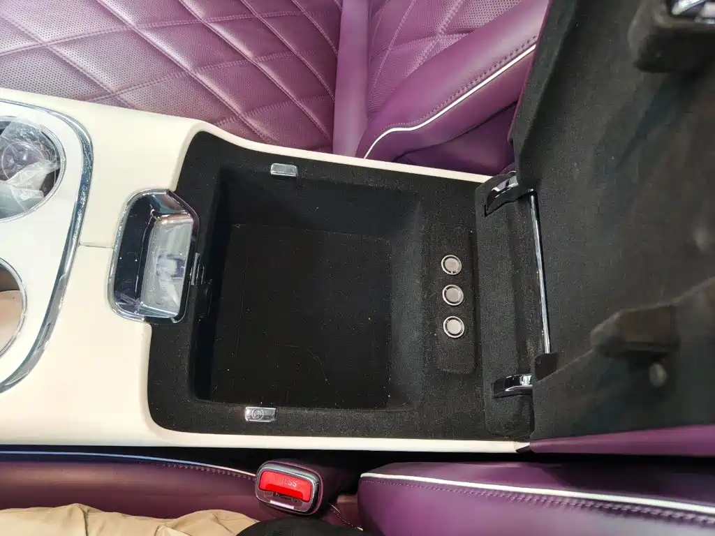 Zunjie S800 2025 2025 Model Extended Range Starlight Executive Edition 4-seater