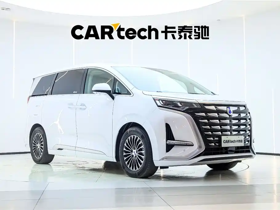Denza D9 2024 DM-i 980 AWD Premium фото 6