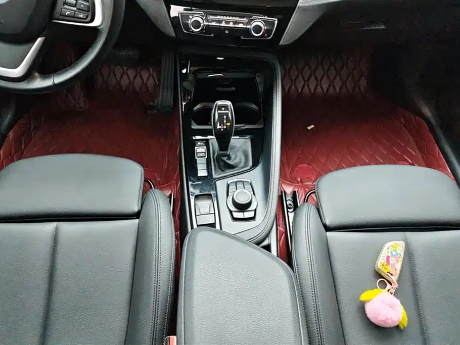 BMW X2 (Import) 2019 sDrive20i M Off-Road Package China VI фото 16