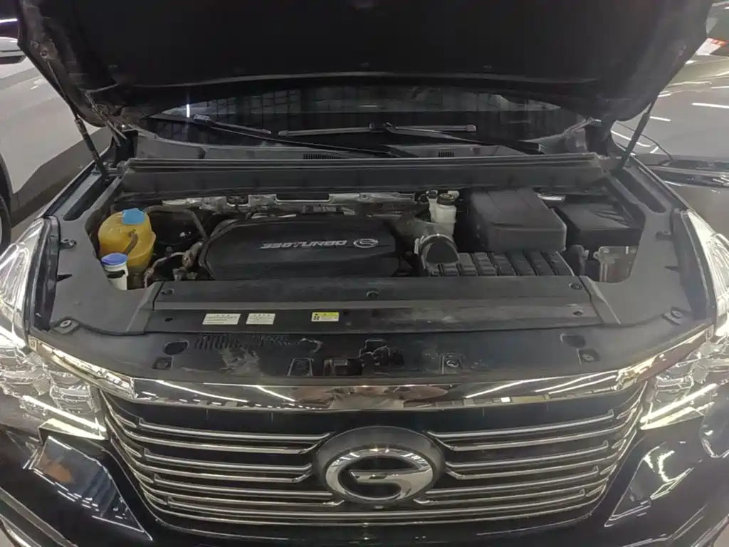 Фото 20 - GAC Trumpchi GS8