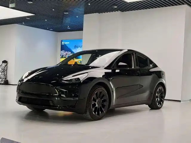 Tesla Model Y Задний привод
