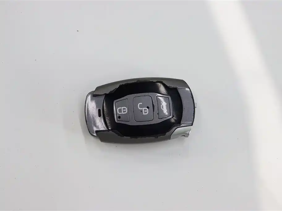 BYD Qin New Energy 2016 Qin EV300 Honor фото 26