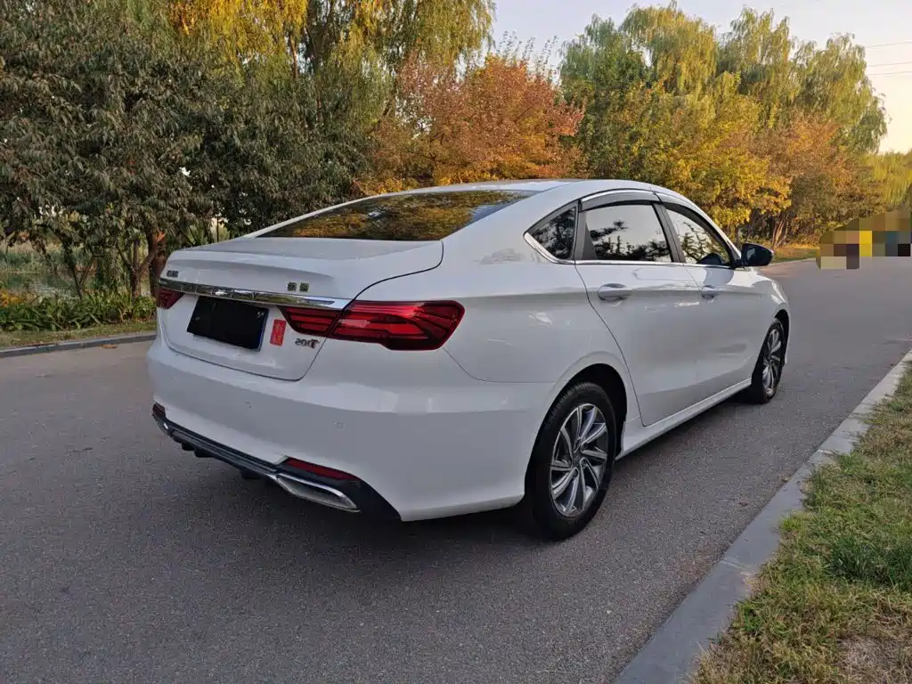 Фото 6 - Geely Binrui