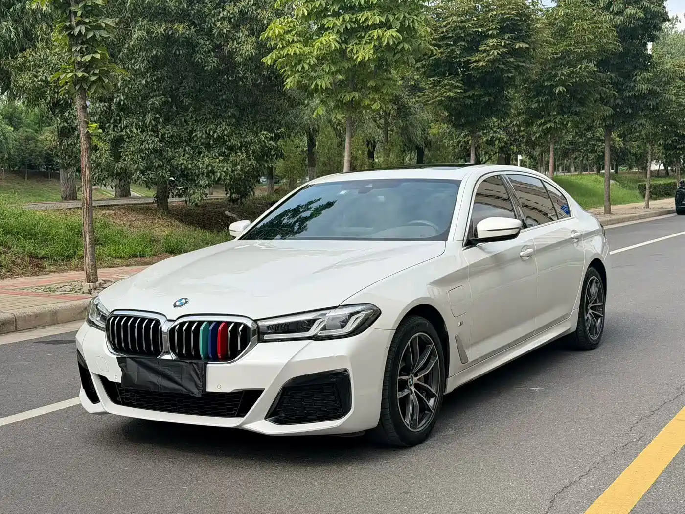 BMW 5 Series New Energy 2021