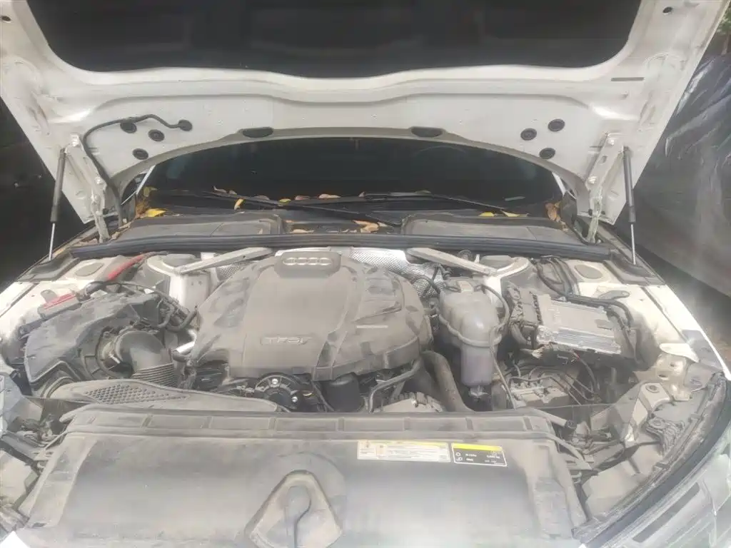 Audi A4L 2019 40 TFSI Fashion (China VI) фото 11