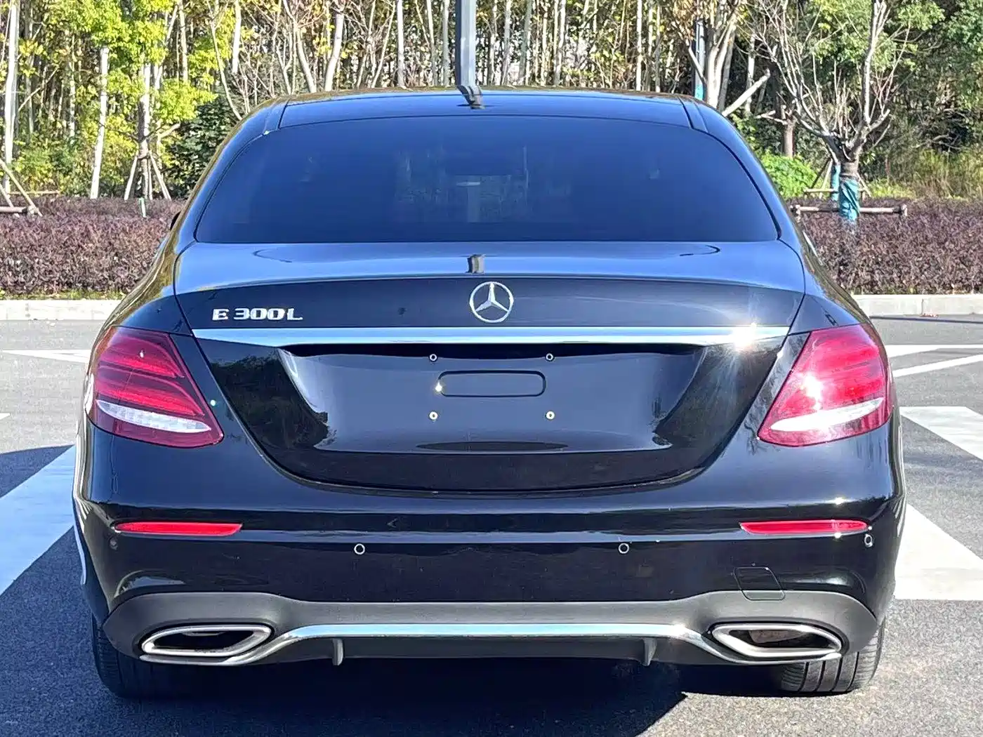 Mercedes-Benz E-Class 2019 E 300 L Sport Fashion фото 8