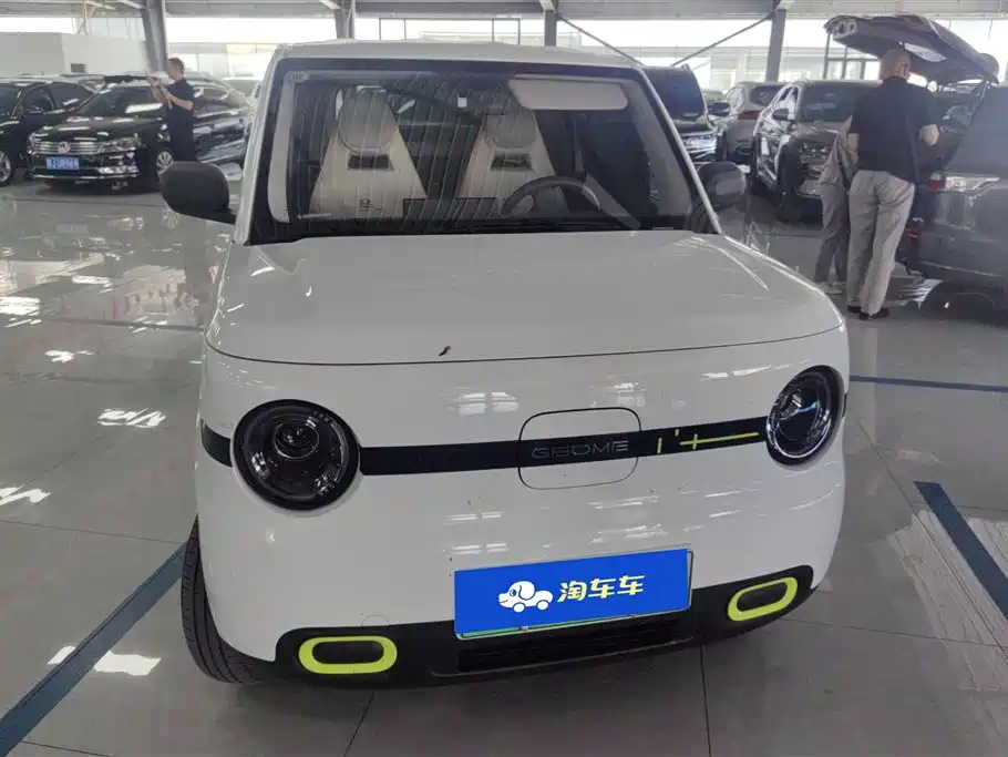 Geely Galaxy Panda 2025 Panda mini 210km Vitality Bear фото 2