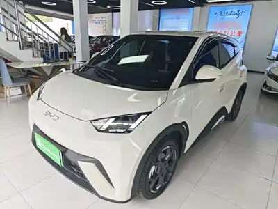 BYD Seagull