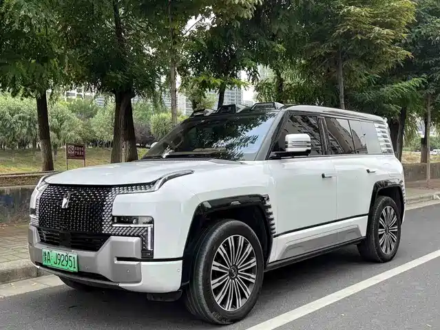 Yangwang U8 Люкс